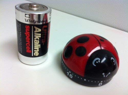Kikkerland Ladybug Kitchen Timer