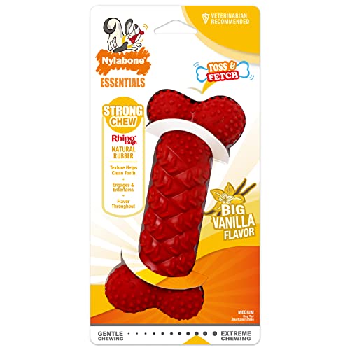 Nylabone Braided Bones Vanilla – Pet Products