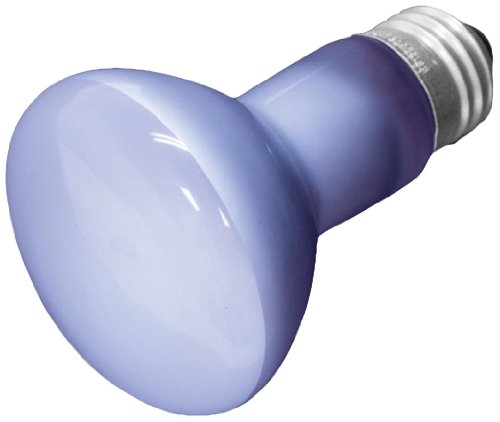 GE Lighting Indoor Floodlight, Frosted Reveal – Home Improvement