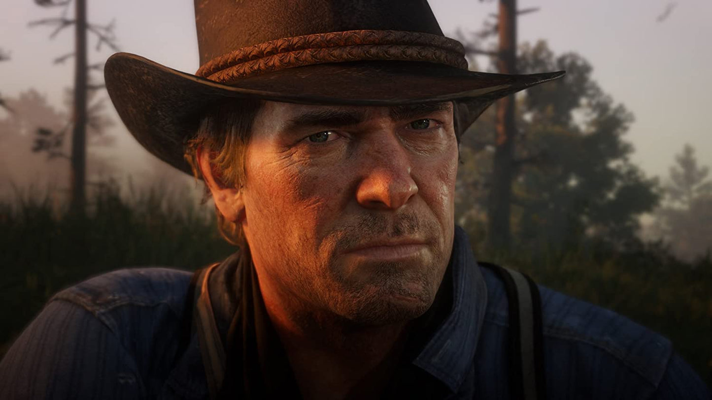 Red Dead Redemption 2 (PS4)