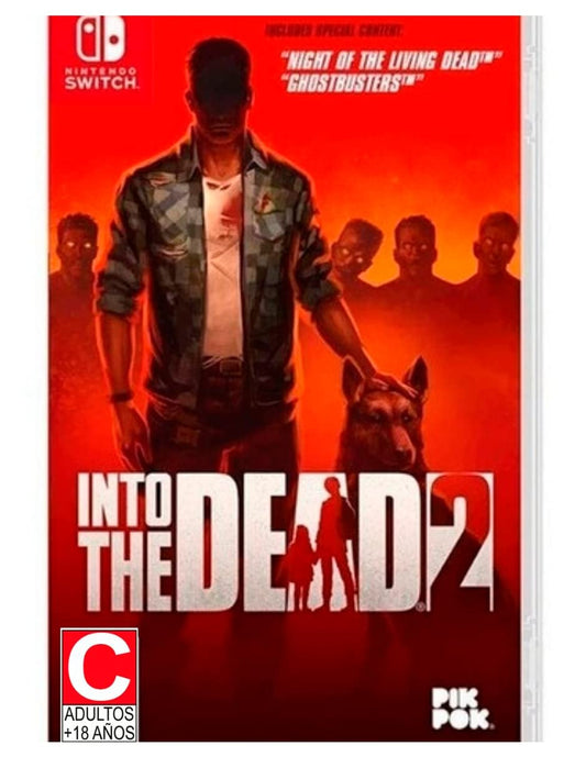 Into the Dead 2 - Nintendo Switch – Video Games