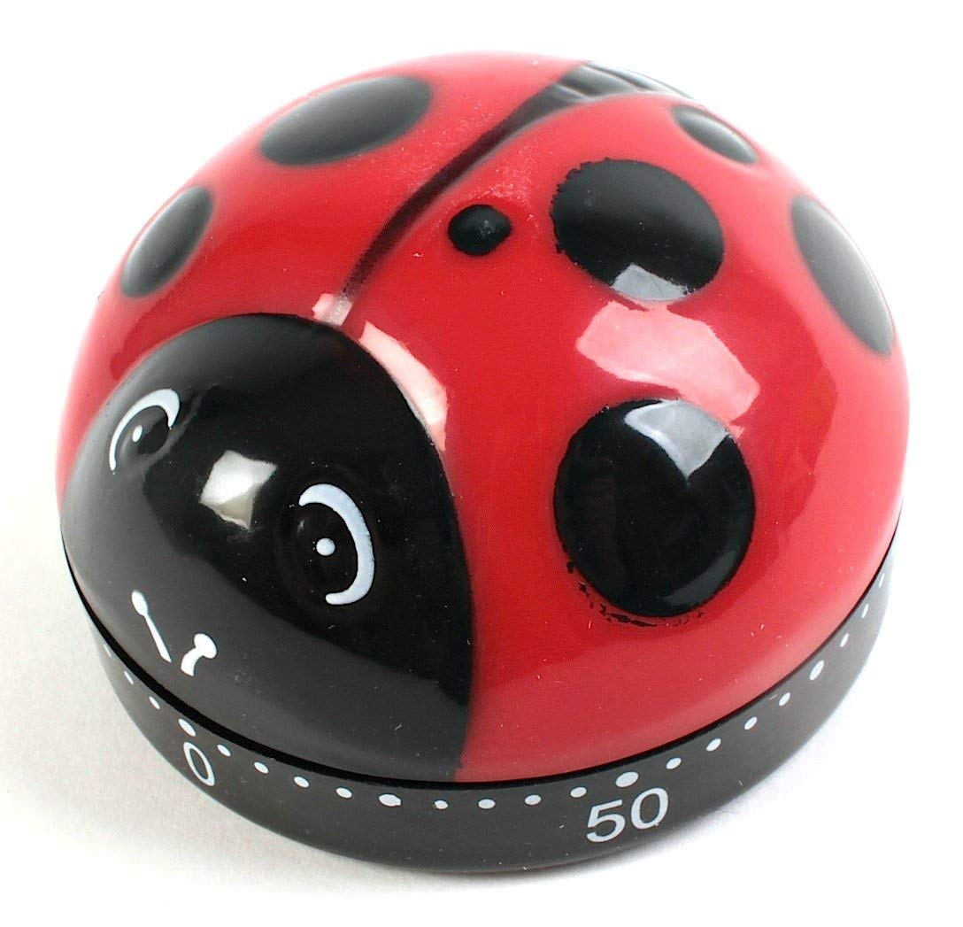 Kikkerland Ladybug Kitchen Timer