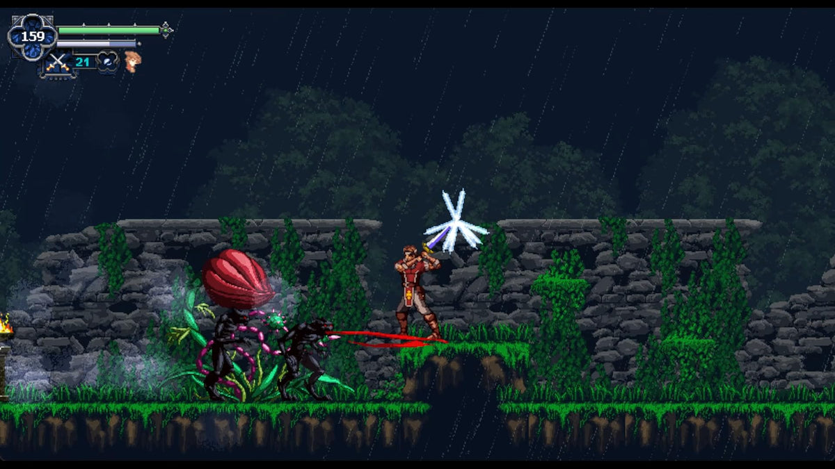 Chronicles of the Wolf - Nintendo Switch
