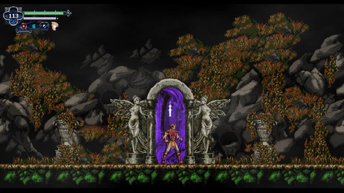 Chronicles of the Wolf - Nintendo Switch