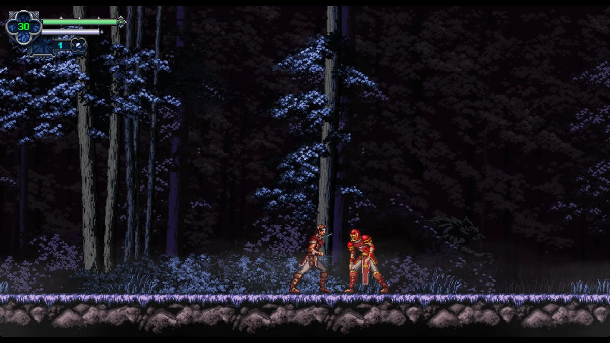 Chronicles of the Wolf - Nintendo Switch