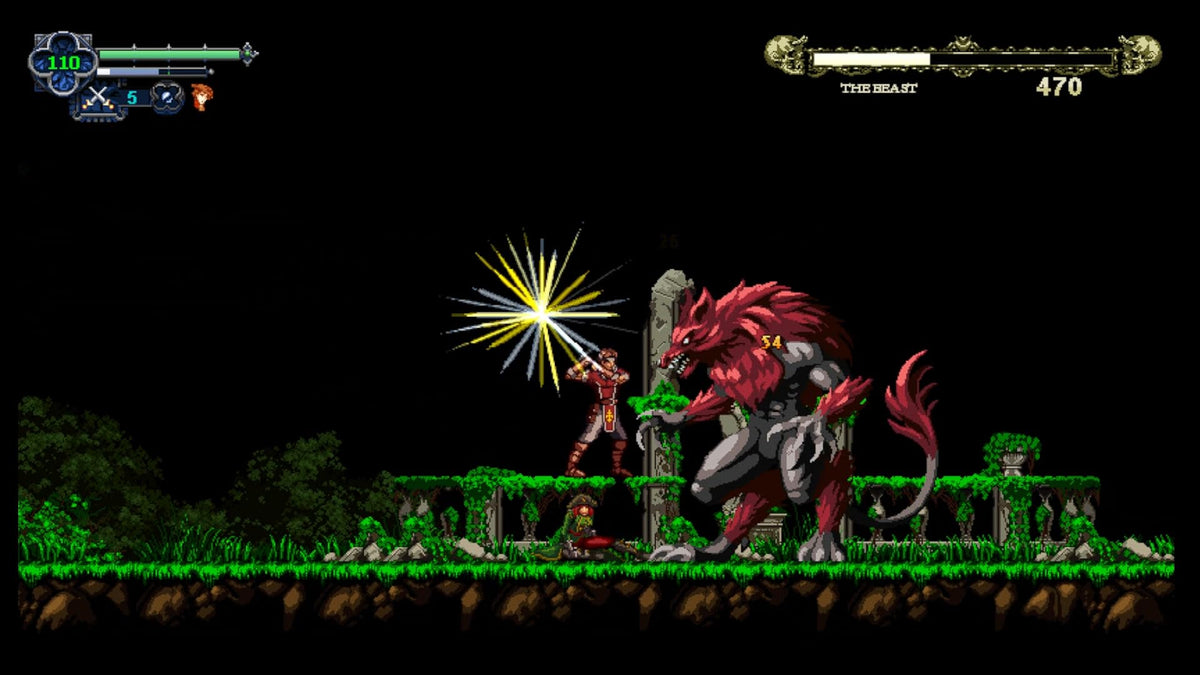 Chronicles of the Wolf - Nintendo Switch