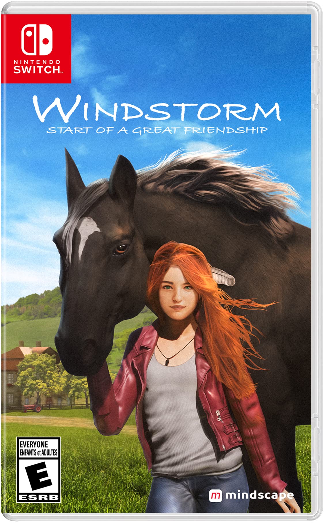 Windstorm: Start of a Great Friendship Nintendo Switch – Video Games