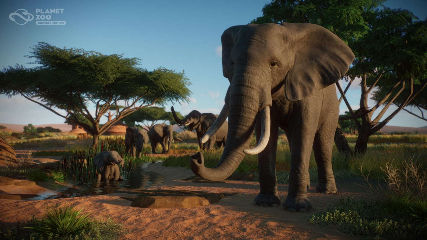 Planet Zoo: Console Edition