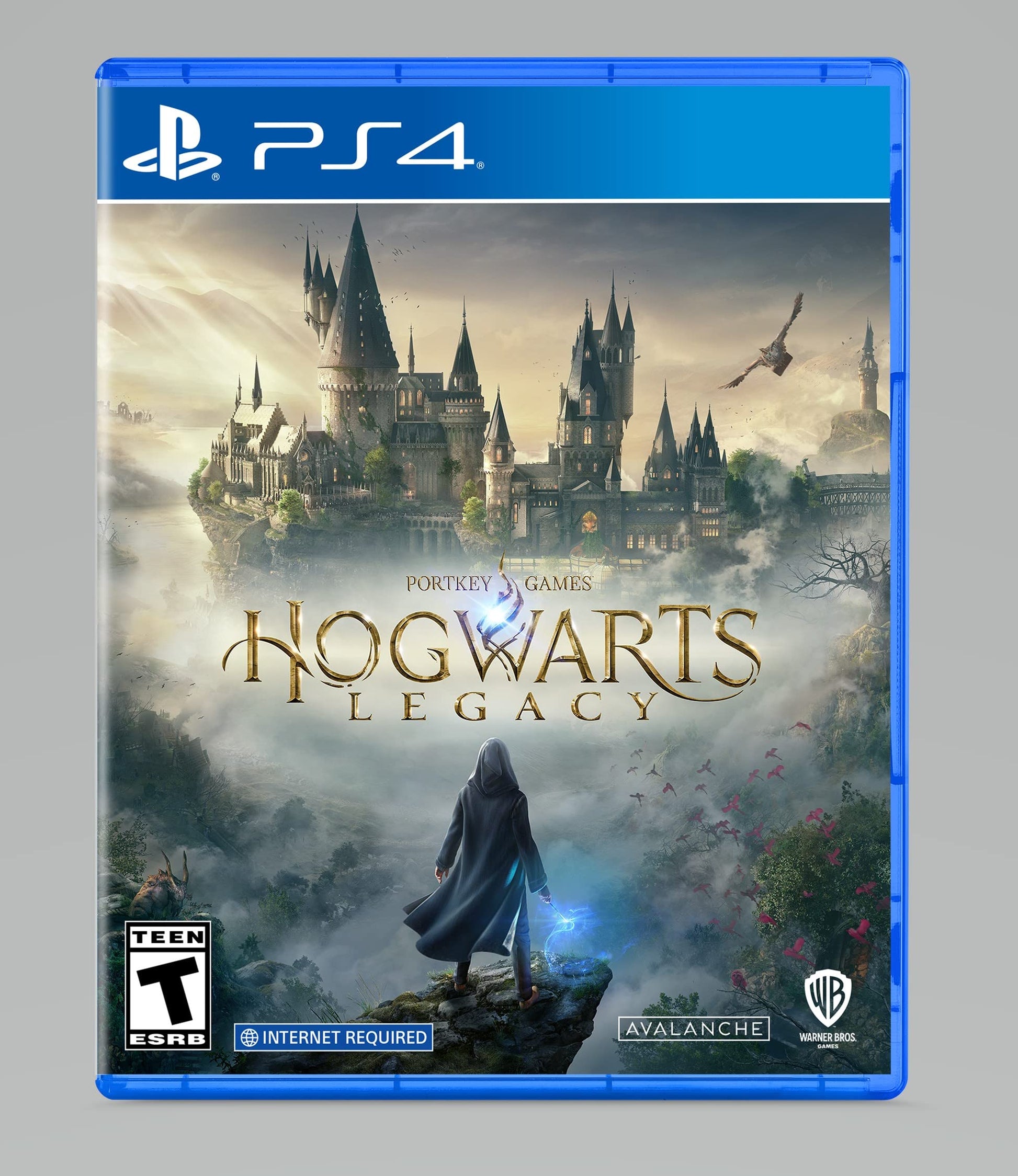 Hogwarts Legacy - PlayStation 4 – Video Games