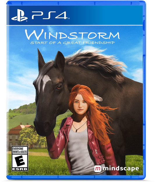 Windstorm: Start of a Great Friendship (PS4) – Video Games